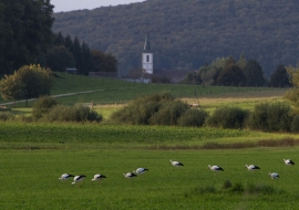 Ajoie, Switzerland