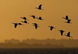 Jamaica Bay NYC