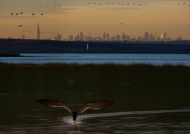 Jamaica Bay NYC