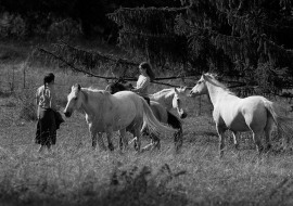 Swiss Country Lifestyle