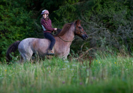 Swiss Country Lifestyle