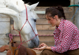 Swiss Country Lifestyle